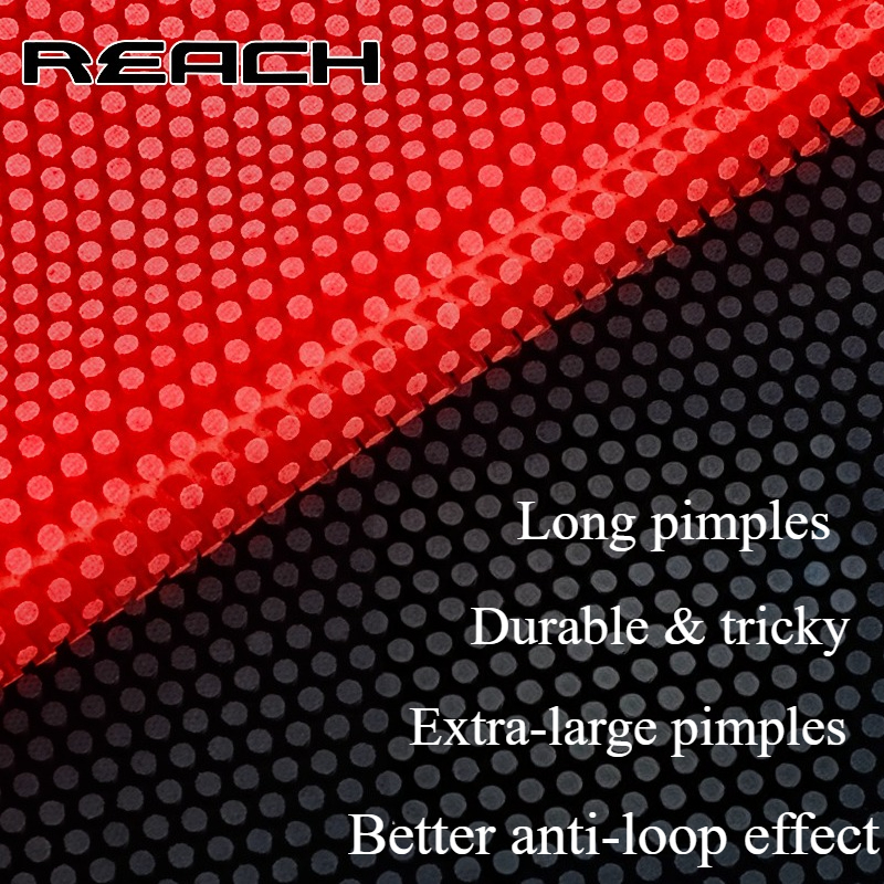 Reach C-8 C-801 Table-tennis R - đánh giá và giá Table Tennis Games
